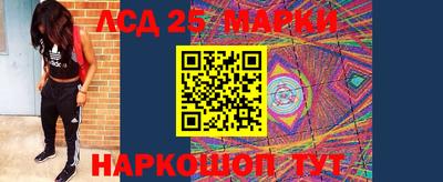 прущие грибы Заволжье