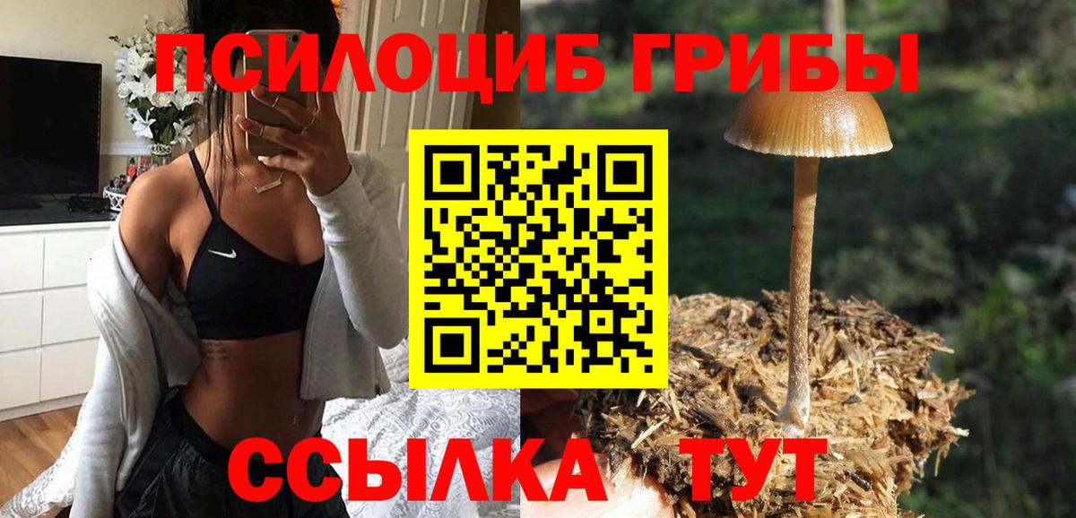 закладки  Галлюциногенные грибы Psilocybe  Вход с VPN  Кумертау  Галлюциногенные грибы GOLDEN TEACHER 